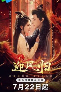 迎凤归