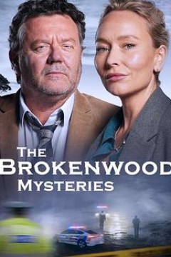 断林镇谜案第十一季