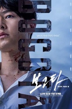 波哥大