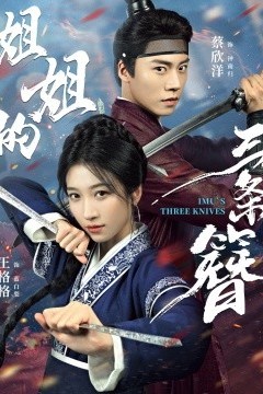 姐姐的三条簪