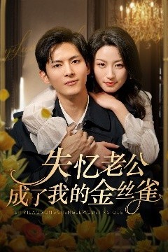 失忆老公成了我的金丝雀