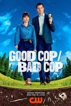 好警察/坏警察