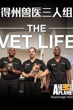德州兽医三人组第一季