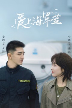 爱上海军蓝