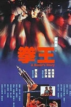 拳王1991国语