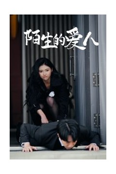 陌生的爱人