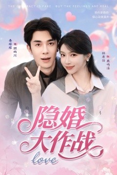 隐婚大作战