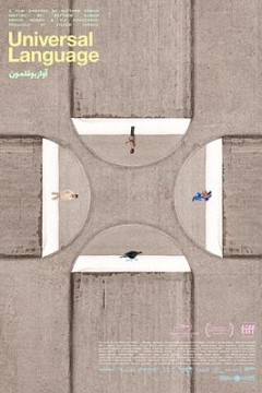 共同的语言