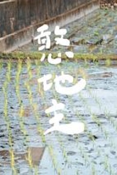 憨地主