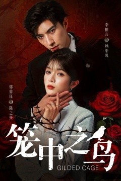 笼中之鸟