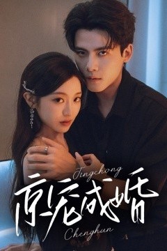 京宠成婚