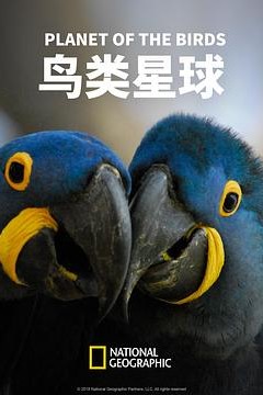 鸟类星球
