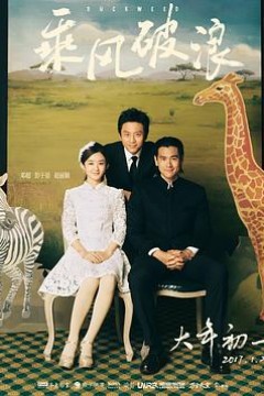 乘风破浪4K