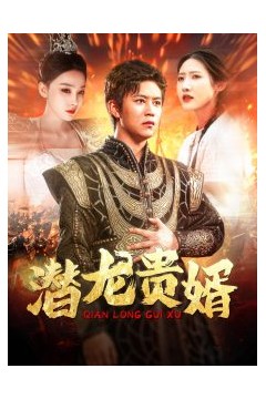 潜龙贵婿