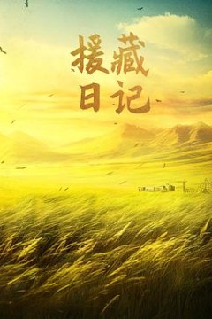 援藏日记