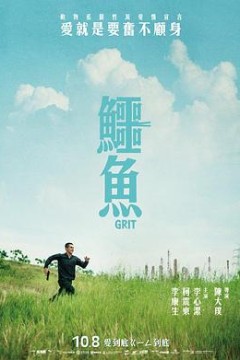 鳄鱼