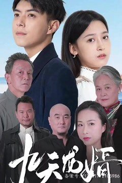 九天龙婿