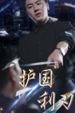 护国利刃