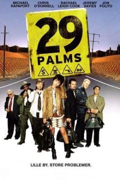 29片棕榈叶