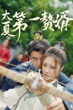 大夏第一赘婿