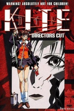 风筝A KITE