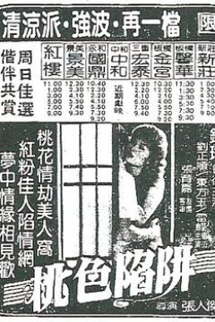 桃色陷阱