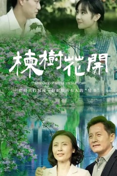 楝树花开