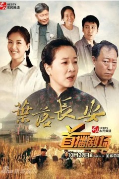 叶落长安2011