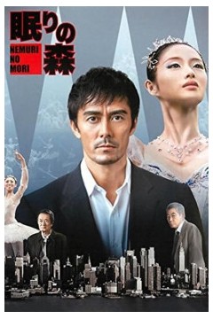 沉睡的森林2014