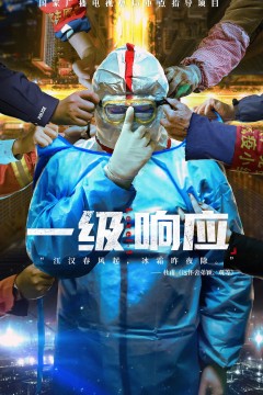 一级响应