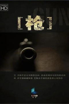 枪2013