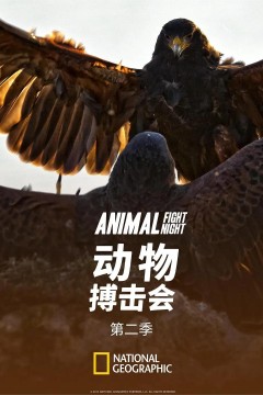 动物搏击会第二季