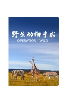 野生动物手术