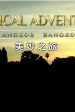 美妙之旅