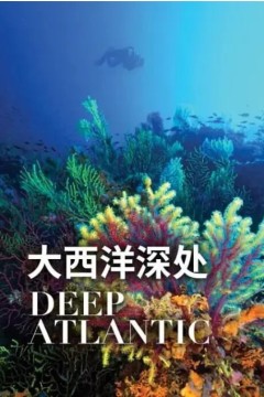 大西洋深处