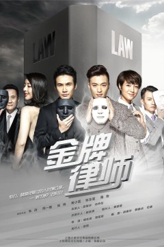 金牌律师2014
