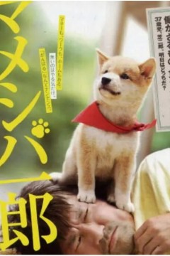 豆柴一郎