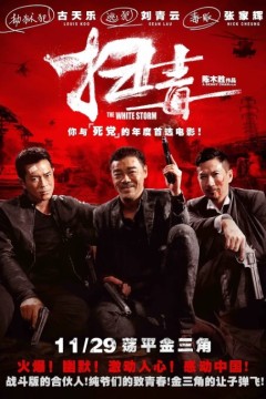 扫毒2013