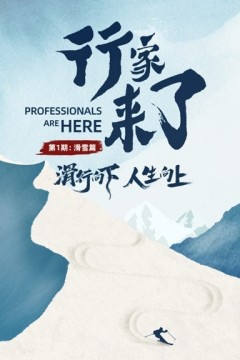 行家来了
