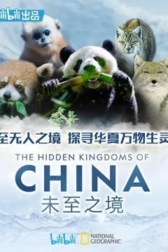 未至之境