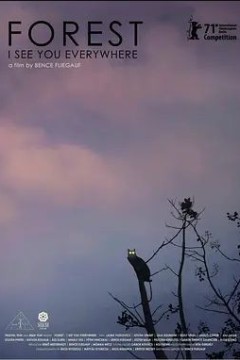 森林随处可见
