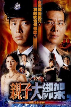 亲子大绑架