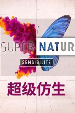 超级仿生