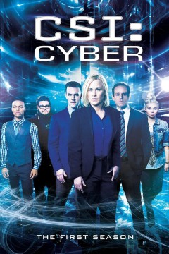 网络犯罪调查第一季