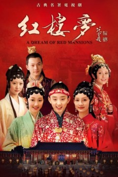 红楼梦2010