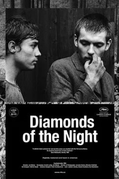 夜之钻1964