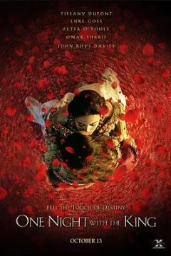 与王一夜2006