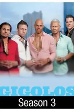 应召男郎第三季