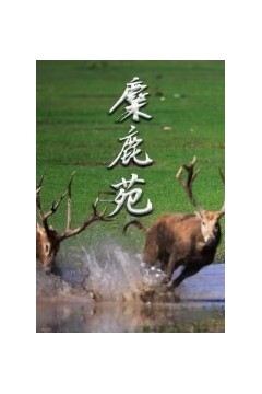 麋鹿苑