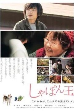 肥皂泡2017